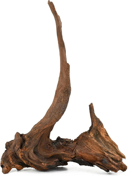 Natural Driftwood Spider Wood Branches Fish Tank and Reptile Terrarium Decor Assorted Sizes for Aquariums and Lizard Habitats (14-17 inch (Pack of 1), Mopani Driftwood)