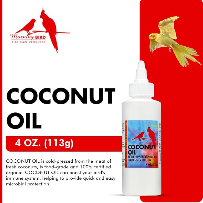 Morning Bird Coconut Oil for Birds 4 oz – Supports Immunity & Digestion – Boosts Energy & Feather Health – Easy to Mix with Food Pure Cold Pressed Formula – Safe for All Bird Life Stages