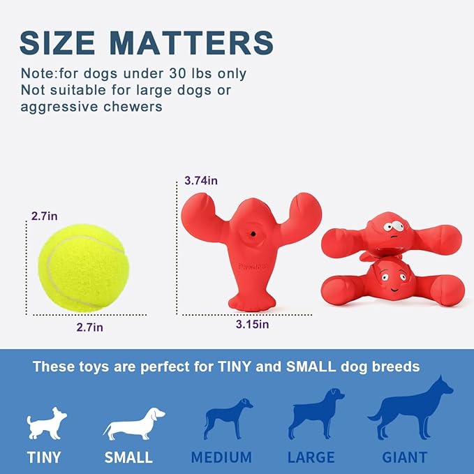 3 Pack Squeaky Dog Toys, Soft Latex Rubber Squeaky Ball for Small Dogs Puppies, Cute Bounce Squeak Lobster Pet Dog Toy