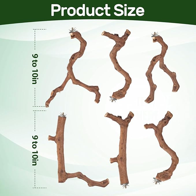 6-Piece Premium Bird Perch Stand with Natural Grape Wood Branch, Paw Grinding Fork, Chewing Stick, Cage Accessories for Parakeets, Budgies, Cockatiels, Finches, Lovebirds