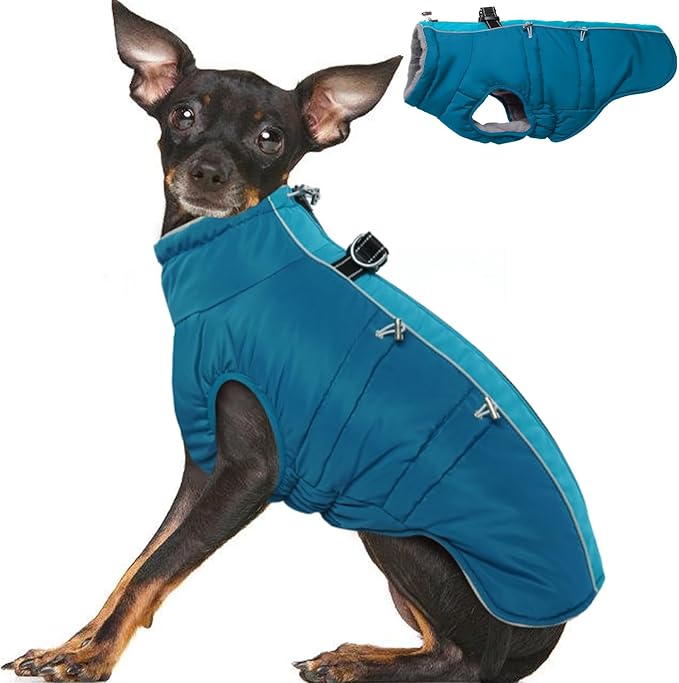 Winter Jacket - XS Warm Zip Up Snowsuit Harness Vest, Reflective Water-Resistant Coat for Small Dogs, Chihuahua, Teacup Puppy, Green
