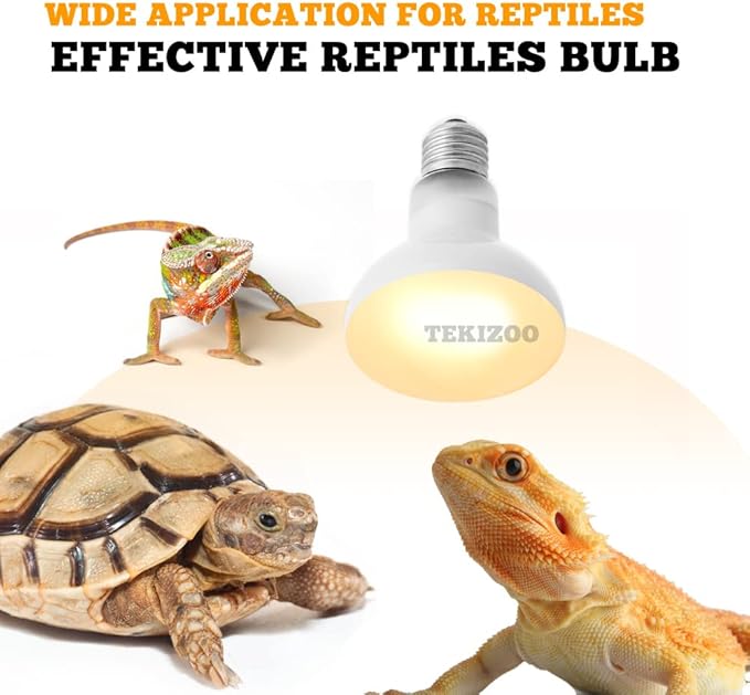 Reptile Heat Lamp UVA Basking Daylight Spot Bulb for Amphibian,Lizard,Tortoise,Bearded Dragon 50W(3 Pack)