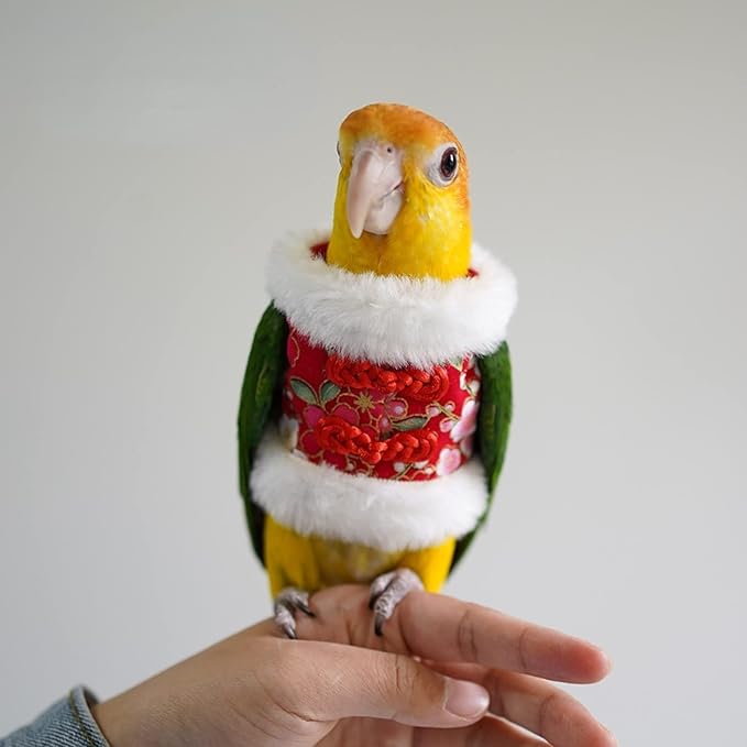 Bird Costume Flight Suit Clothes Cosplay Photo Prop for Parrots Parakeet Cockatiel Sun Conure, Hoodie Small Animals Apparel (Red, Large), Green (BPF1)