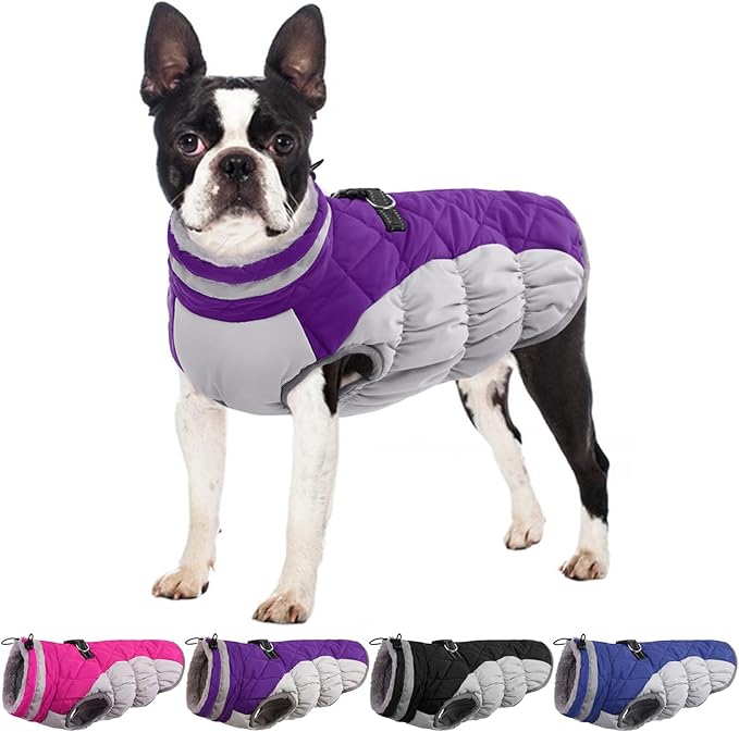 Small Dog Coat,Dog Jackets for Small Dogs,Warm Winter Jacket, Puppy Coat with Harness Built in,Waterproof Dogs Jacket,Puppy Cold Weather Coats,Pet Winter Clothes Snowsuit Shih Tzu Bichon,Purple