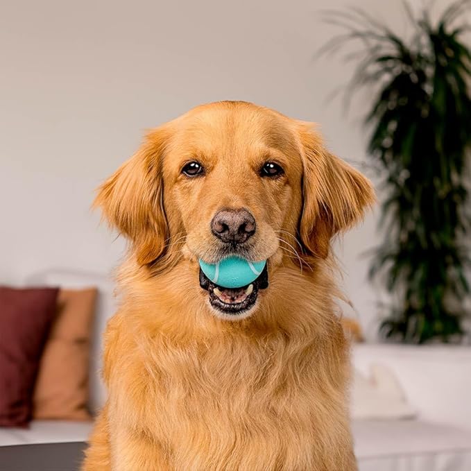 Playology Dog Toys | Squeaky Chew Ball - Bouncy Durable Floating Fetch Ball for Dogs | Jumbo Peanut Butter Scented Toy - Easy to Clean and Made from Non Toxic Materials