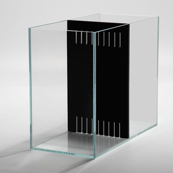 5 Gallon Betta Fish Tank with Divider, Small Aquarium, Fits 2 Bettas, 2.5 Gallon *2 Rooms.(Divider not Removable)