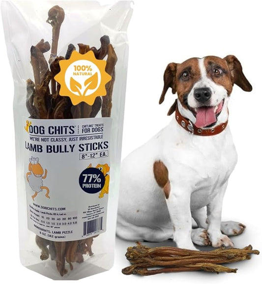 Dog Chits Lamb Bully Sticks for Dogs and Puppies | 8 oz (12 Pieces+) | Natural Healthy Long Lasting Chew for Large and Small Dogs Protein Treats | Odor Free