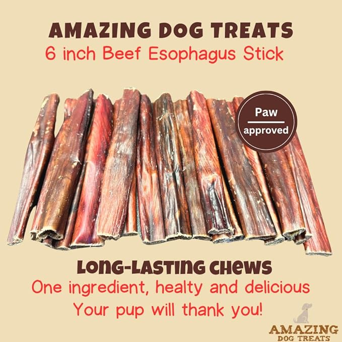 Amazing Dog Treats Gullet Sticks for Dogs - 6 Inch Beef Gullet Jerky Chews - 40 Count