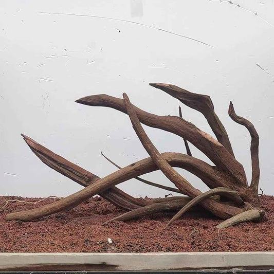 Aquarium Driftwood Centerpiece Aquarium Landscape, Handcrafted Fish Tank hardscape Landscape (Thorn Forest)