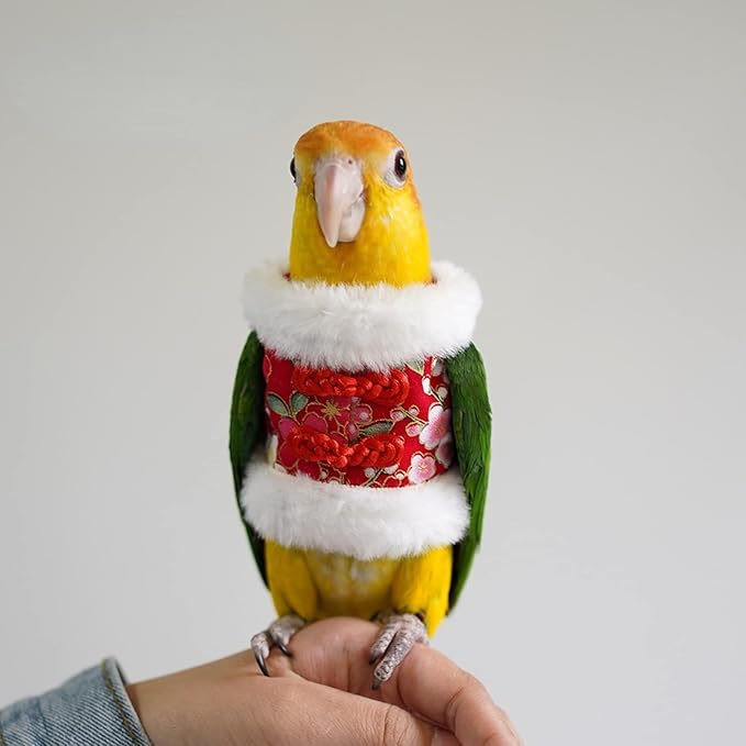 Bird Costume Flight Suit Clothes Cosplay Photo Prop for Parrots Parakeet Cockatiel Sun Conure, Hoodie Small Animals Apparel (Red, Large), Green (BPF1)