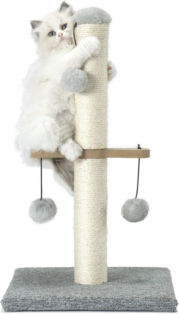 PAWSFANS Cat Scratching Post,Small Scratch Post for Indoor Kittens and Small Size Cats,with Hanging Ball Toys,21inches,Grey