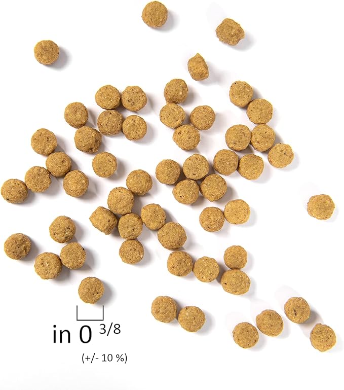 Psittacus High Protein 6.6 lb | Complete Pellet Diet for Amazons, Cockatoos and Ringneck Parrot | Premium Food for Birds, 100% no-GMO
