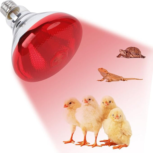 250W Red Heat Lamp Bulbs for Chicken,Infrared Flood Light Heat Lamp Bulb, Incandescent Light Heat Lamps for Chicks, Reptile, Pets, Par38 Glass E26 Base