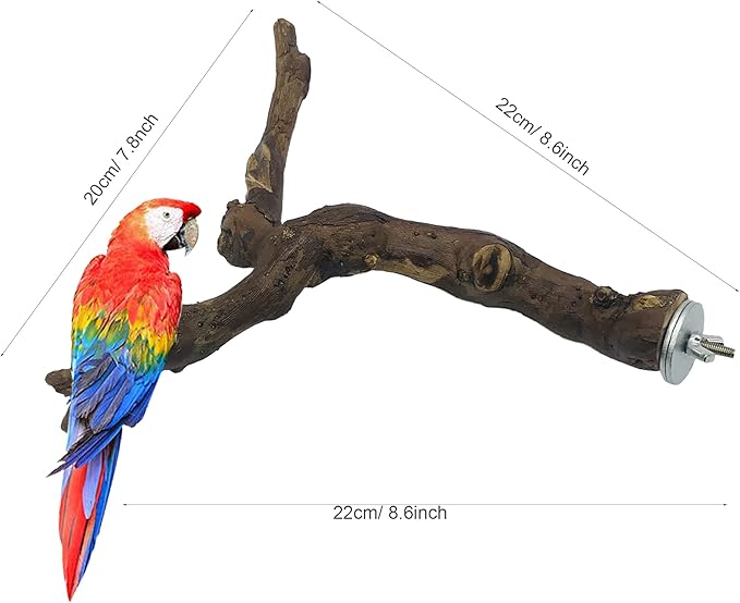 Allazone 2 PCS Natural Grape Stick Fork Bird Perch Bird Standing Stick Chewing Bird Toys Natural Grapevine Bird Cage Perch for Parrot Cages Toy for Cockatiels, Parakeets, Finches