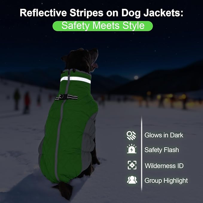 Warm Dog Coats for Medium Dogs, Waterproof Dog Jacket with Harness Built in, Zipper Clousure, Fleece Lining for Cold Weather Outdoor Walks, Snowsuit for Schnauzer, Boston Terrier, Pug - M