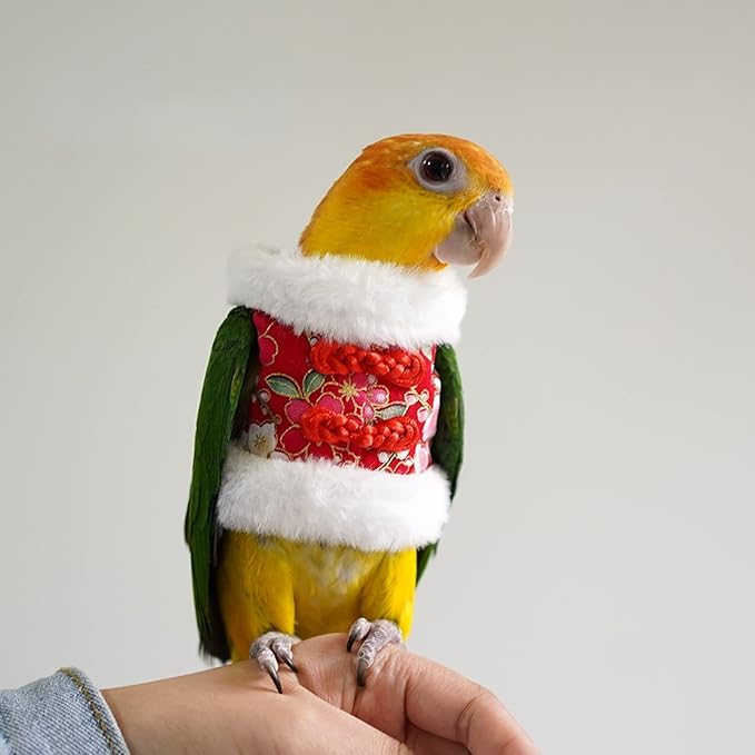 Bird Costume Flight Suit Clothes Cosplay Photo Prop for Parrots Parakeet Cockatiel Sun Conure, Hoodie Small Animals Apparel (Red, Large), Green (BPF1)