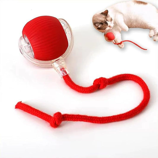Nestoly Cat Toy, Indoor Automatic Moving Interactive Cat Toy Ball, Smart Cat Wheels for Indoor Cats, Chirping Motion Activate Cat Toys Best for Bored Solve Your Cat's Boredom in Seconds