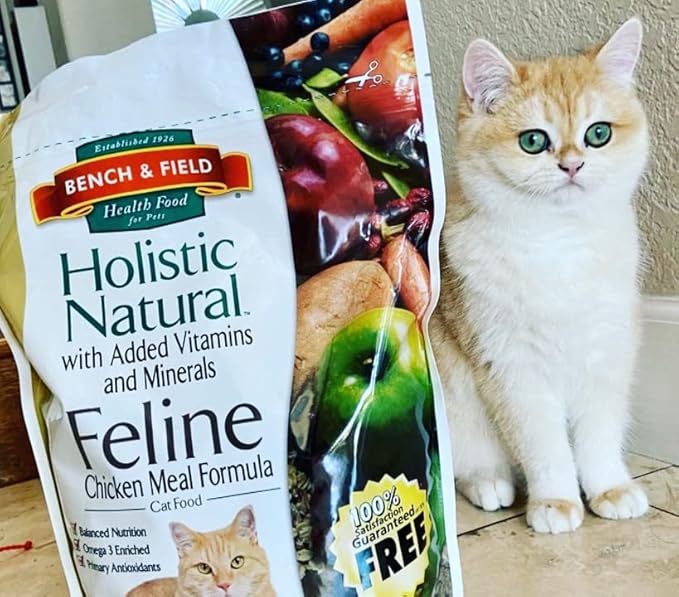 Bench & Field Holistic Natural Premium Adult Dry Cat Food, Chicken Meal and Brown Rice Recipe 3 lb Bag (Pack of 1)