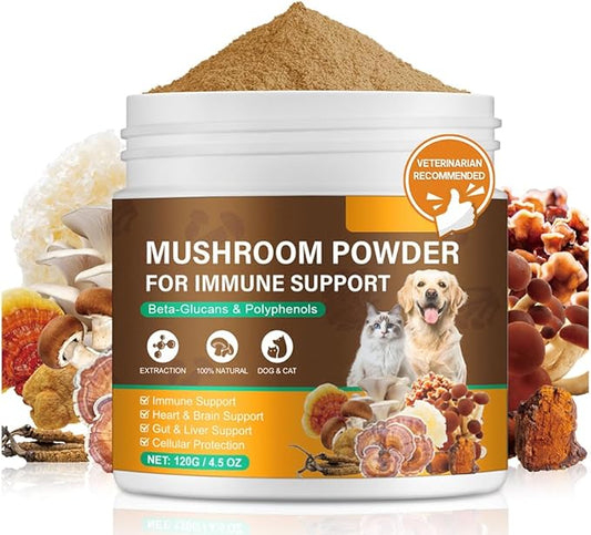 Mushroom Supplement Powder for Dogs & Cats, 11 Beneficial Mushroom Complex for Immune Support, Cellular Protection, Heart & Brain Health Lion's Mane, Reishi & Turkey Tail, Bacon Flavor - 120g