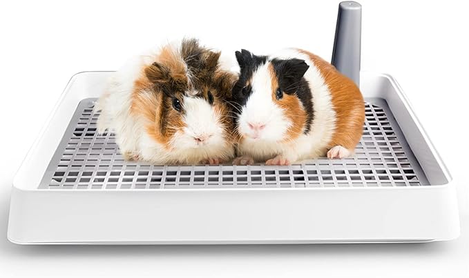 Fhiny Guinea Pig Litter Pan, Rabbit Litter Box with Grate Plastic Small Animals Corner Tray Toilet Potty Trainer for Bunny Chinchilla Guinea Pigs Ferret Hedgehog