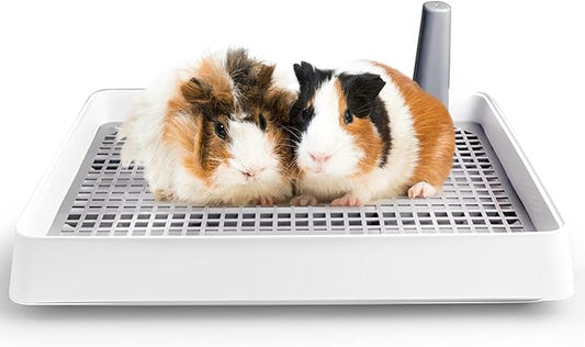 Fhiny Guinea Pig Litter Pan, Rabbit Litter Box with Grate Plastic Small Animals Corner Tray Toilet Potty Trainer for Bunny Chinchilla Guinea Pigs Ferret Hedgehog