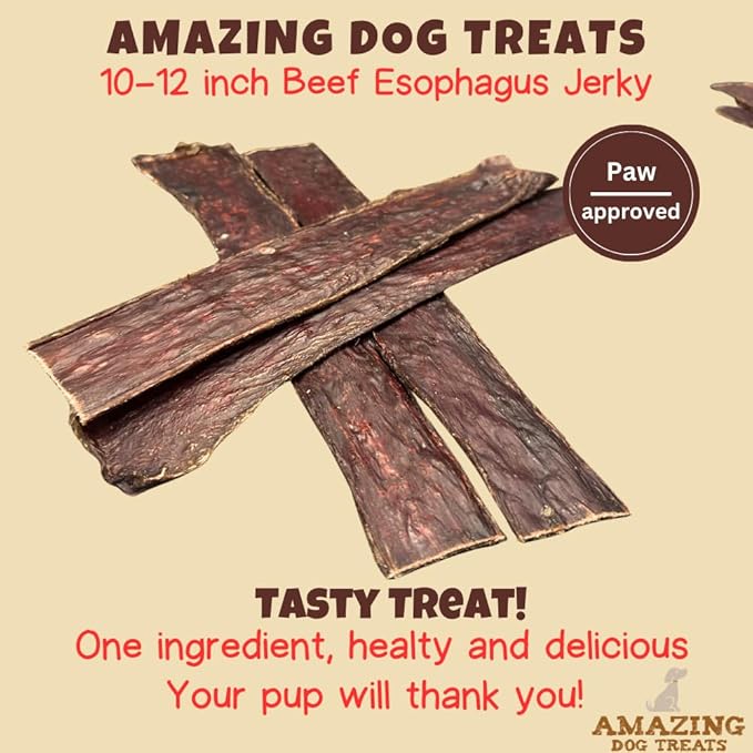 Amazing Dog Treats - Beef Esophagus Jerky for Dogs (10-12 Inch - 30 Pc/Pack) - Gullet Dog Chews