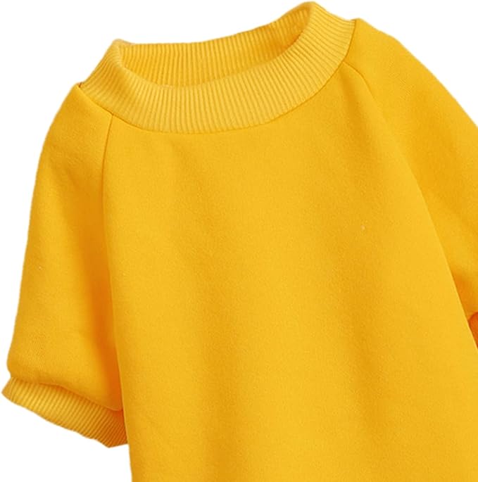 Puppy Sweater for Small Dogs Clothes Warm Winter Cat Clothe Pet Sweatshirt Knitwear Doggie Kitten Clothing, Yellow, Medium