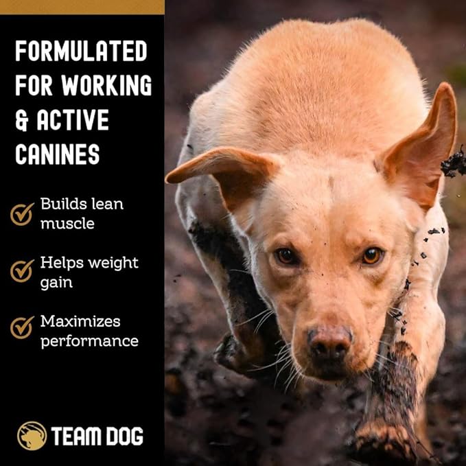 TEAM DOG Elite Blend High Protein Dog Food | Chicken Meal & Sweet Potato | For High Energy, High Performance Dogs | Easy to Digest | Gluten Free, GMO Free, No Corn, Wheat or Soy | (33 lb Dry Dog Food)