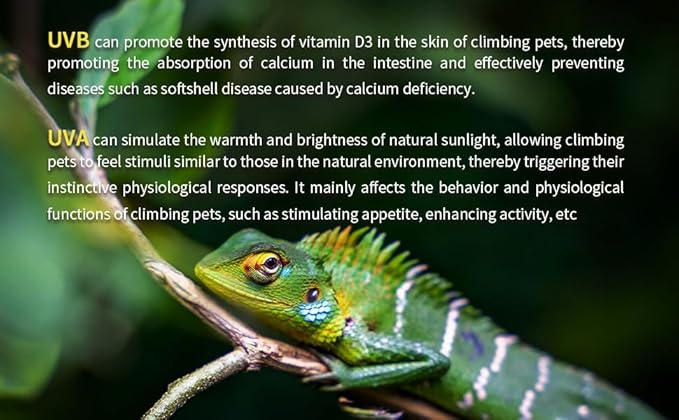 UVB Light Bulb for Reptiles, 26W 15.0 UVA UVB Heat Lamp Bulbs Ideal for Rainforest Reptiles, Bearded Dragons Lizard Turtle Tortoise Iguanas Chameleons Snake (1 Pack)