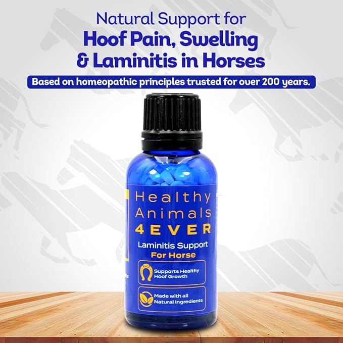 HealthyAnimals4Ever HA4E - Horse Laminitis Support - Hoof Care for Damaged & Injured Hooves - Highly Effective, Natural Homeopathic Supplement - Pellets, Barn Size