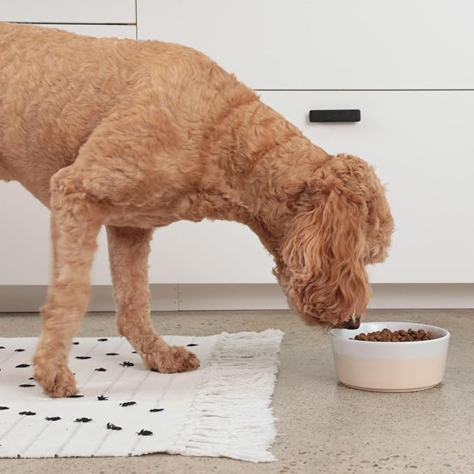 Waggo Dipper Ceramic Dog Bowl for Small and Large Breeds - Heavyweight and Durable Pet Food and Water Dish Crock, Dishwasher Safe, Modern (Large, Buttercream)