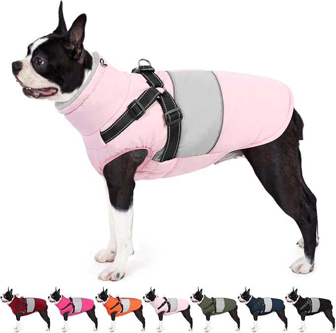AOFITEE Small Dog Coat, Dog Winter Coat with Harness Built in, Warm Dogs Jacket with Zipper & Polar Fleece Collar, Waterproof Pet Snow Jacket Snowsuit for Schnauzer, Chihuahua Yorkshire, S