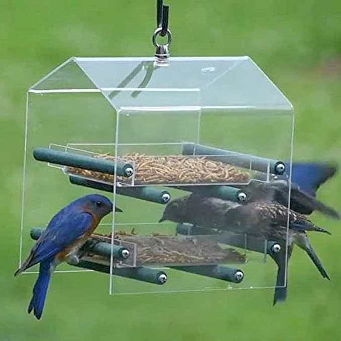 Amzey Dried Mealworms 2 LB, 100% Natural Meal Worms for Chicken & Birds, Organic Chicken Feed for Laying Hens, High Protein and Nutrition, Zipped Bag