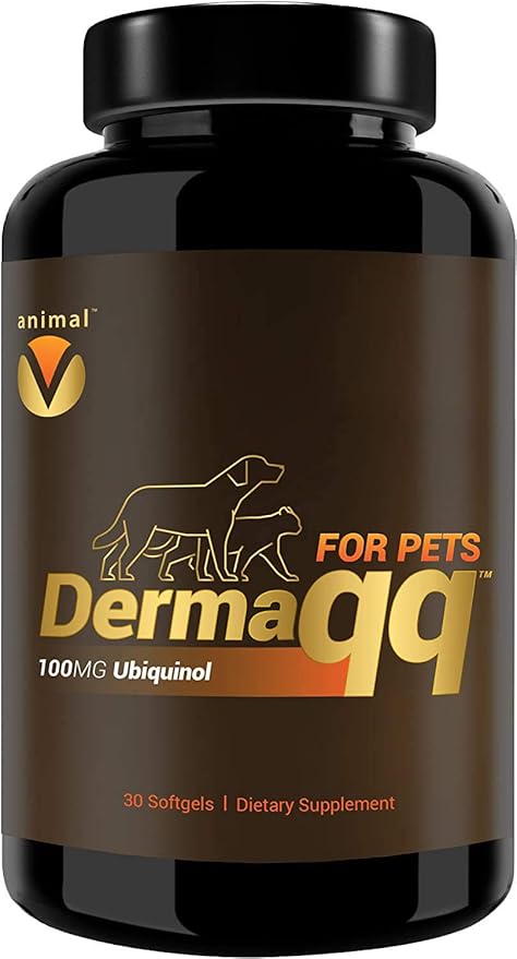 Dermaqq HIGH Absorption Ubiquinol (QH) - CoQ10 for Dog and Cat Hot Spots, Hair Loss, Dermatitis Support for Relief of Itchy, Dry and Irritated Skin
