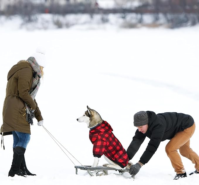 GreenJoy Plaid Dog Sweaters Hoodies Sweatshirts for Dogs Cats, Warm and Soft Cold Weater Coats for Christmas (Red, X-Small)