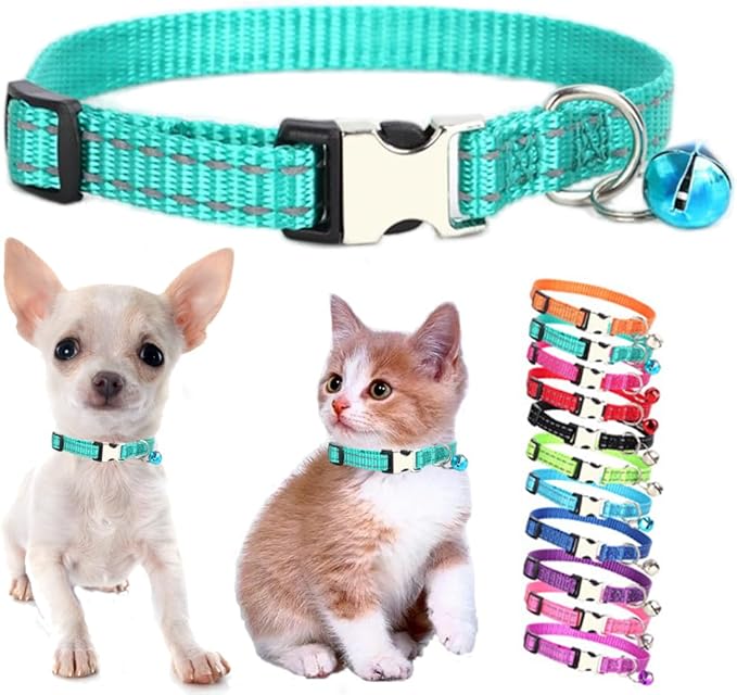 Teal Cat Collar with Bell, Reflective Nylon X-Small Puppy Collars Soft Adjustable Buckle for XXS XSmall Small Puppy Female Tiny Pets Dogs Boy Girl Kitten Yorkie Chihuahua XS