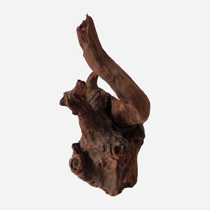 Natural Driftwood for Aquarium Decor, L12.99×W9.45×H13.39 Inches Large Drift Wood Decorations for Reptile Hide, Fish Tank, Optional Shapes
