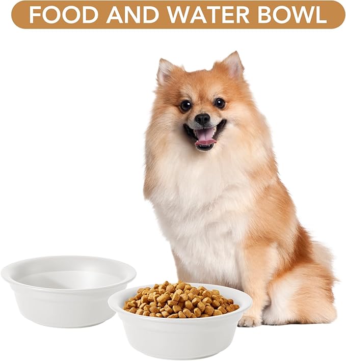 Ceramic 5.5inch Set of 2 Dog and Cat Bowls, 2pcs Basic Food and Water Dishes for Puppy, Kitty, Wide Opening Rounded Edge (2 Bowls, Matt White)