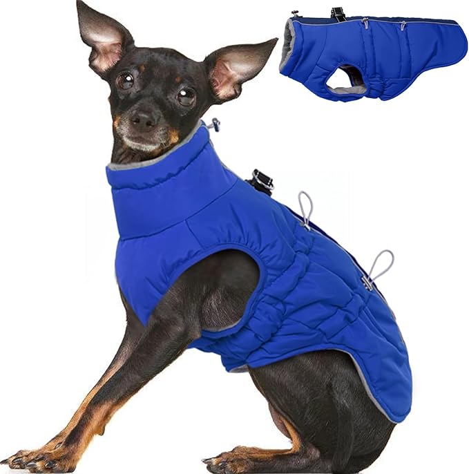 Small Dog Coat - Winter Jacket, Warm Zip Up Snowsuit, Reflective, Water-Resistant, Royal-Blue