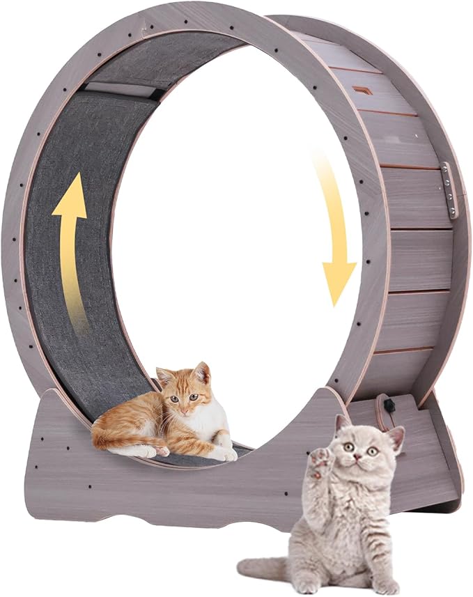 43 Inch Large Cat Exercise Wheel for Indoor Cats, Silent Treadmill, Non-Tip Design, Safe & Quiet Cat Running Wheel, Easy to Assemble, Supports Cats Up to 55 lbs (Grey)