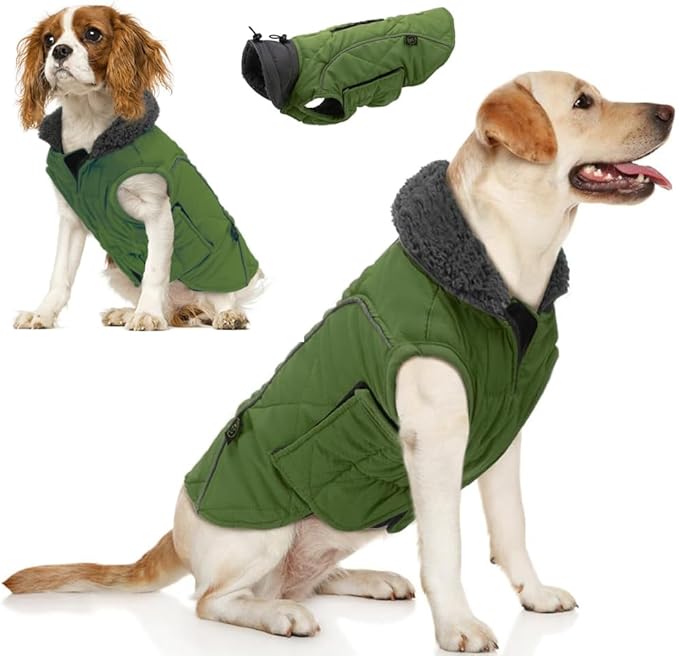 EMUST Winter Dog Coats, Fleece Pet Apparel for Cold Weather, British Style Windproof Warm Dog Jacket for Winter, Green, XS