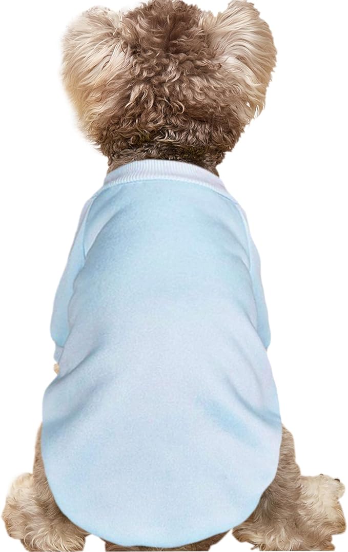 Puppy Sweater for Small Dogs Clothes Warm Winter Cat Clothe Pet Sweatshirt Knitwear Doggie Kitten Clothing, Light Blue, X-Small
