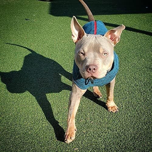 Gooby Boys 2X-Large Chest (~25.5 Inch) Zip Up Fleece, Turquoise Wash, 2X-Large 25.5 US