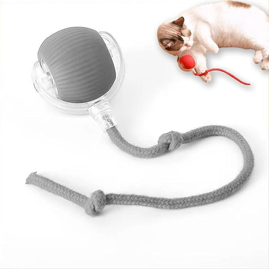 Nestoly Cat Toy, Indoor Automatic Moving Interactive Cat Toy Ball, Smart Cat Wheels for Indoor Cats, Chirping Motion Activate Cat Toys Best for Bored Solve Your Cat's Boredom in Seconds