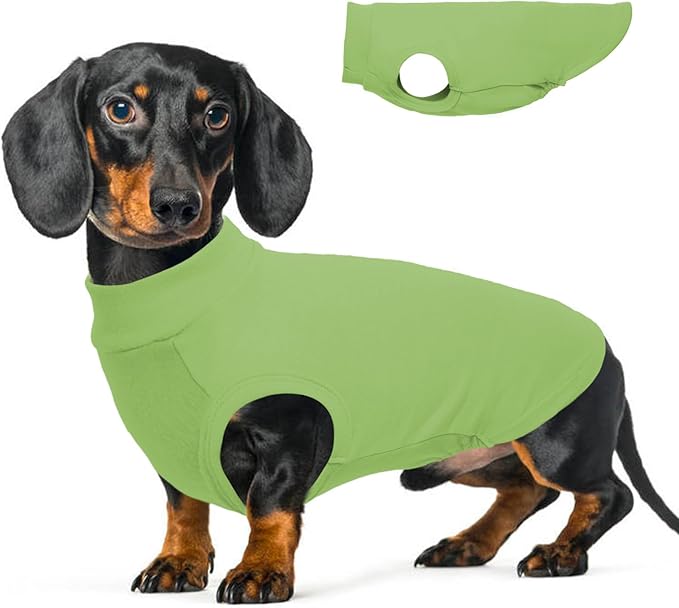 Dog Fleece Sweater - Green, L - Soft Warm Sleeveless Vest | Stretchable Sweatshirt for Medium Dogs, Lightweight for Free Movement,Outdoor Playing,Mini Schnauzer