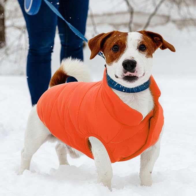 ASENKU Dog Winter Coat - Waterproof Windproof Dog Jacket, Warm Snowproof Doggie Puffer Vest for Cold Weather, Lightweight Snow Coats for Small Medium Large Dogs (Orange, 3XL)