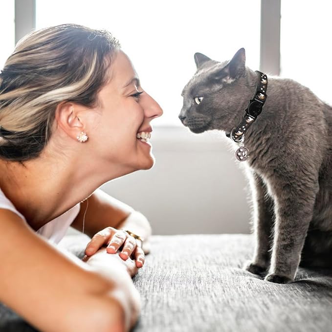 2Pcs Breakaway Cats Collars Cat Collars for Boy & Girl Cats Adjustable Kitten Collars with Bell,Black+Emerald