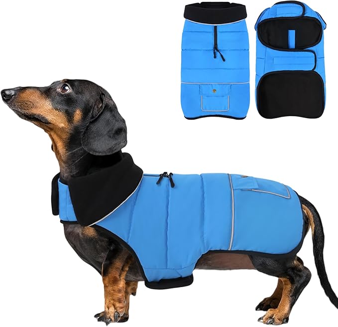 Dog Coat, Small Medium Dog Jacket, Windproof Dogs Puffer Jacket, Fleece Lined Warm Dogs Winter Coat with Harness Hole (Blue L)