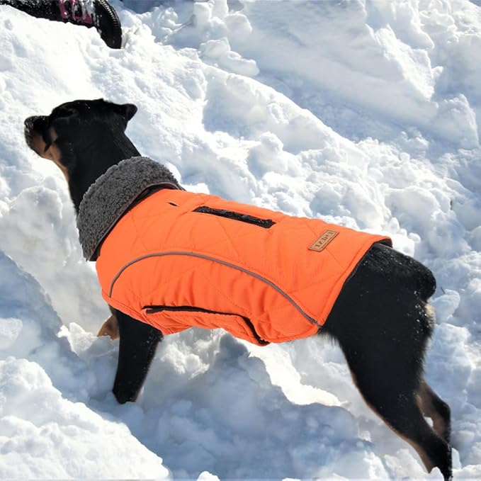 EMUST Dog Vests for Winter, Fleece Lined Pet Coat for Cold Weather Warm Jackets for Small Medium Large Dogs, Orange, XXXL