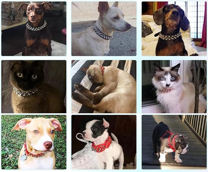 Spiked Dog Collar, Mushrooms Rivet Studded Adjustable Pu Leather Pet Collars for Cats Puppy Dogs (M, White)